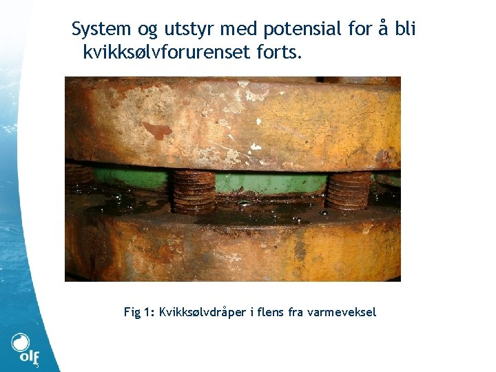 System og utstyr med potensial for å bli kvikksølvforurenset forts. Fig 1: Kvikksølvdråper i