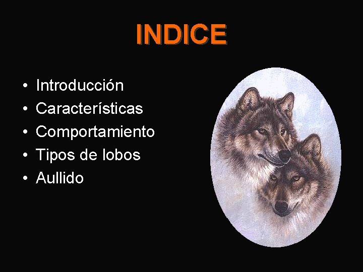 INDICE • • • Introducción Características Comportamiento Tipos de lobos Aullido 