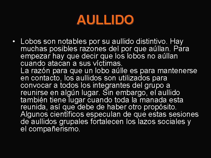 AULLIDO • Lobos son notables por su aullido distintivo. Hay muchas posibles razones del