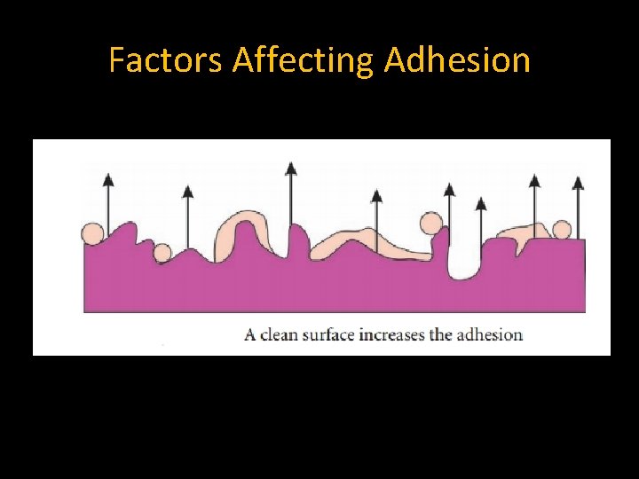 Factors Affecting Adhesion 