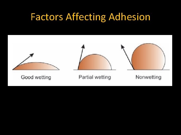 Factors Affecting Adhesion 