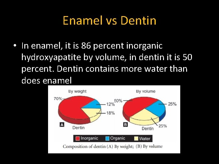 Enamel vs Dentin • In enamel, it is 86 percent inorganic hydroxyapatite by volume,