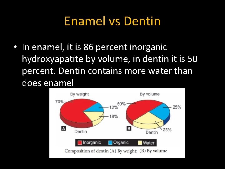 Enamel vs Dentin • In enamel, it is 86 percent inorganic hydroxyapatite by volume, Enamel vs Dentin • In enamel, it is 86 percent inorganic hydroxyapatite by volume,