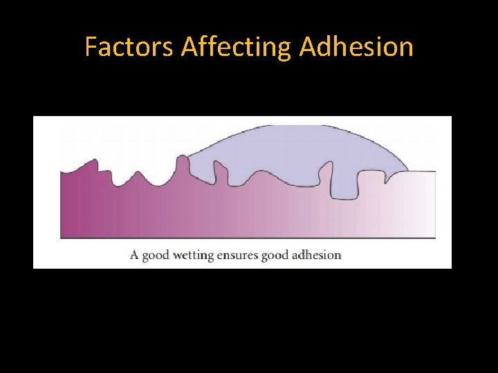 Factors Affecting Adhesion Factors Affecting Adhesion