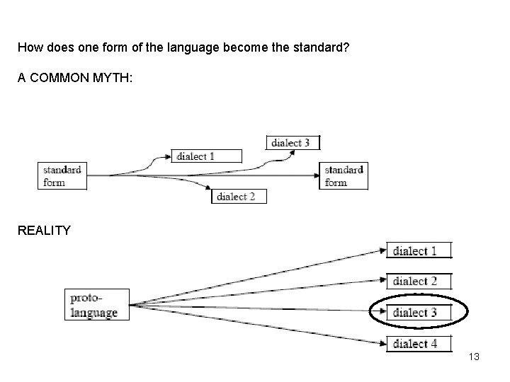 How does one form of the language become the standard? A COMMON MYTH: REALITY