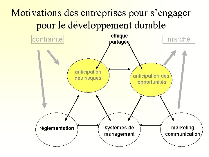 Motivations des entreprises pour s’engager pour le développement durable éthique partagée contrainte anticipation des