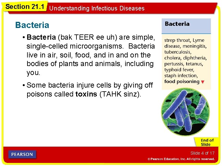 Section 21. 1 Understanding Infectious Diseases Bacteria • Bacteria (bak TEER ee uh) are