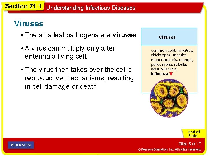 Section 21. 1 Understanding Infectious Diseases Viruses • The smallest pathogens are viruses. •