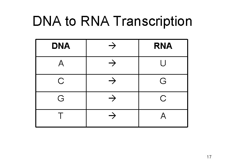 DNA to RNA Transcription DNA RNA A U C G G C T A DNA to RNA Transcription DNA RNA A U C G G C T A