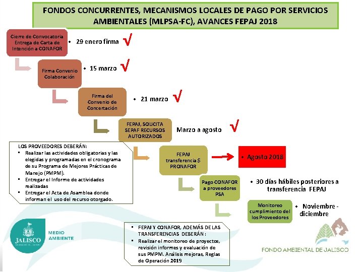 FONDOS CONCURRENTES, MECANISMOS LOCALES DE PAGO POR SERVICIOS AMBIENTALES (MLPSA-FC), AVANCES FEPAJ 2018 Cierre