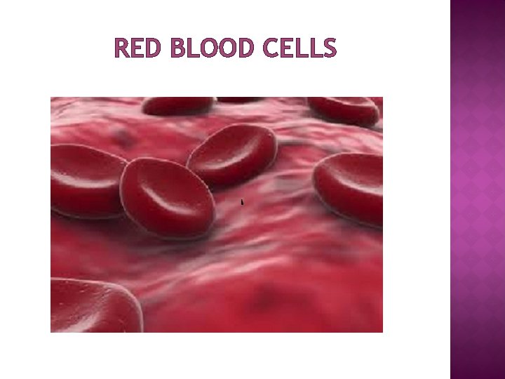 RED BLOOD CELLS 