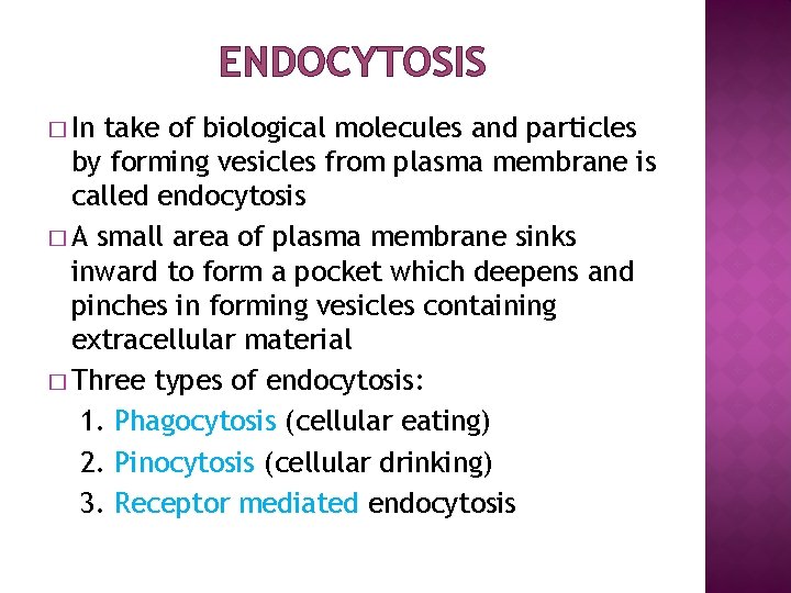 ENDOCYTOSIS � In take of biological molecules and particles by forming vesicles from plasma