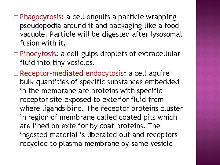 � Phagocytosis: a cell engulfs a particle wrapping pseudopodia around it and packaging like