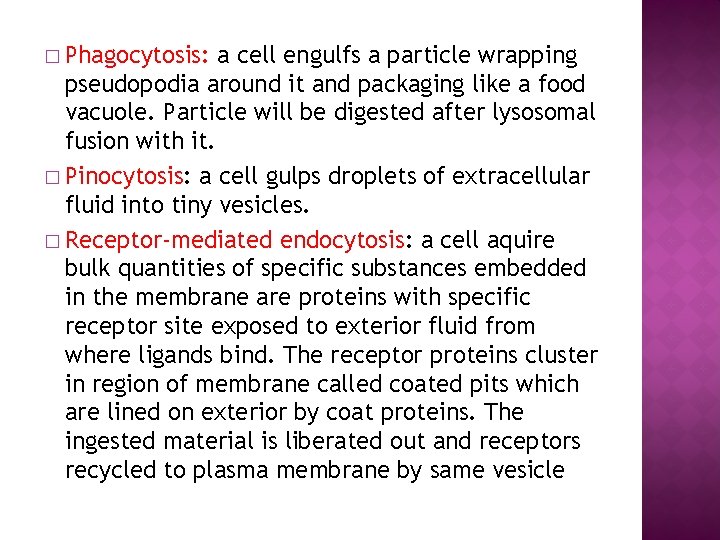 � Phagocytosis: a cell engulfs a particle wrapping pseudopodia around it and packaging like
