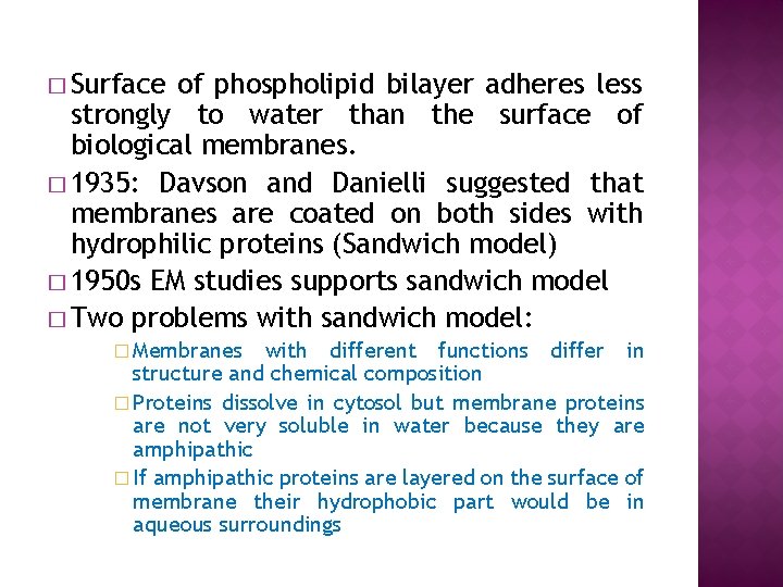 � Surface of phospholipid bilayer adheres less strongly to water than the surface of