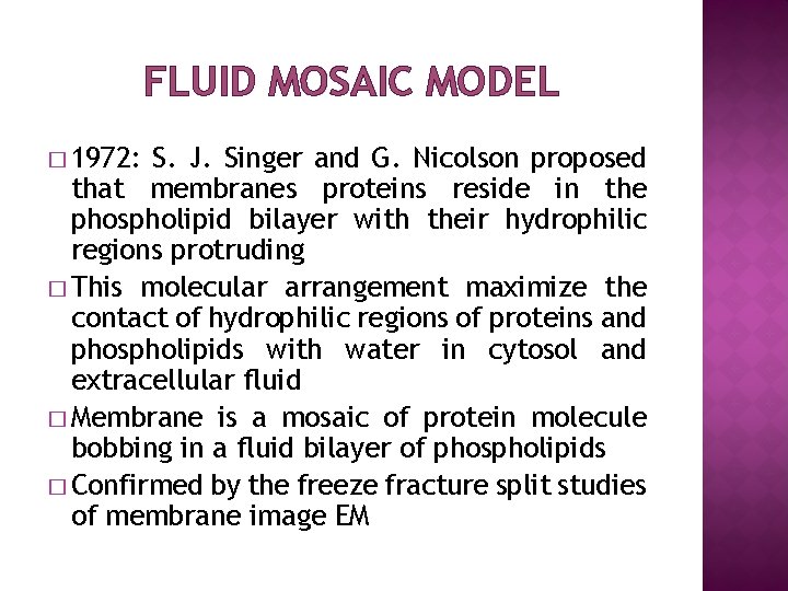 FLUID MOSAIC MODEL � 1972: S. J. Singer and G. Nicolson proposed that membranes