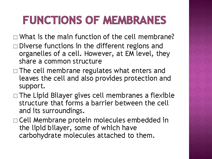 FUNCTIONS OF MEMBRANES � What is the main function of the cell membrane? �