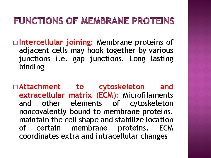 FUNCTIONS OF MEMBRANE PROTEINS � Intercellular joining: Membrane proteins of adjacent cells may hook