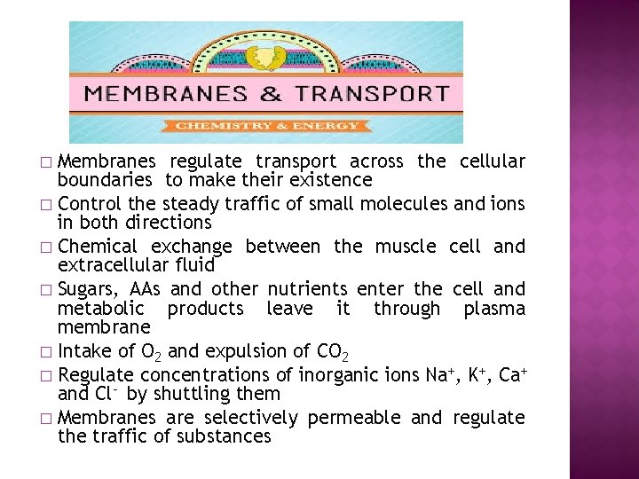 Membranes regulate transport across the cellular boundaries to make their existence � Control the