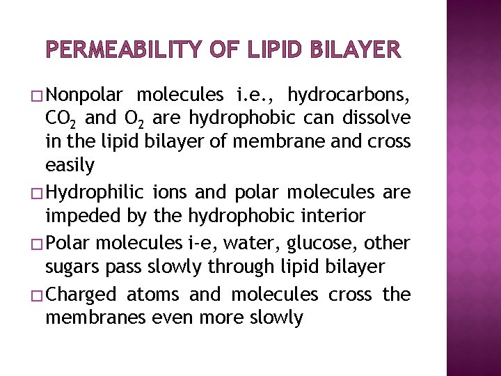 PERMEABILITY OF LIPID BILAYER � Nonpolar molecules i. e. , hydrocarbons, CO 2 and