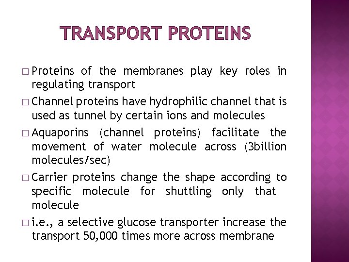 TRANSPORT PROTEINS � Proteins of the membranes play key roles in regulating transport �