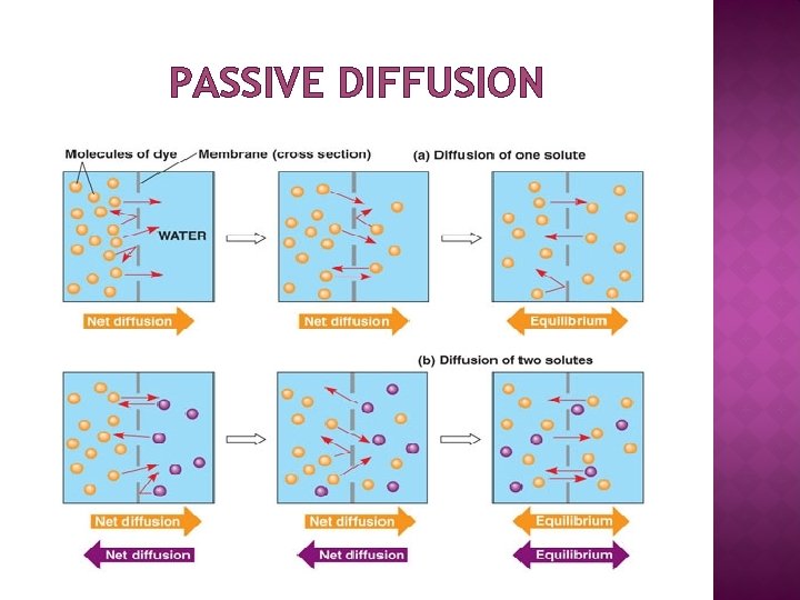 PASSIVE DIFFUSION 