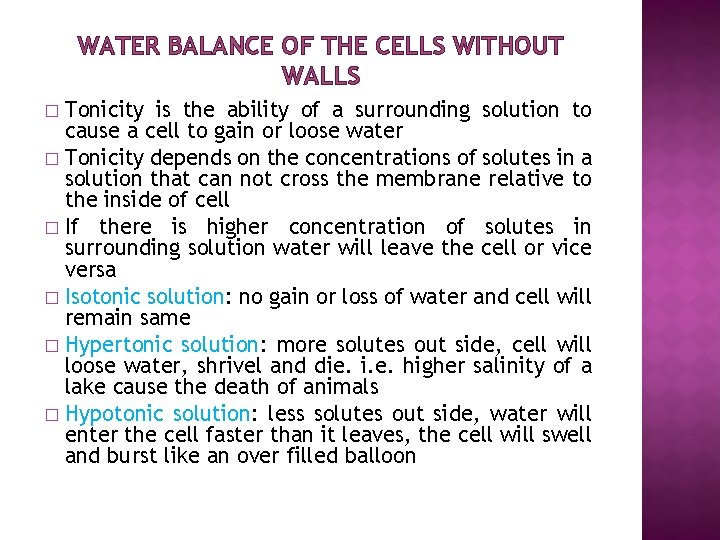 WATER BALANCE OF THE CELLS WITHOUT WALLS Tonicity is the ability of a surrounding