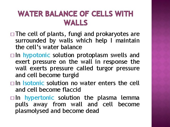 WATER BALANCE OF CELLS WITH WALLS � The cell of plants, fungi and prokaryotes