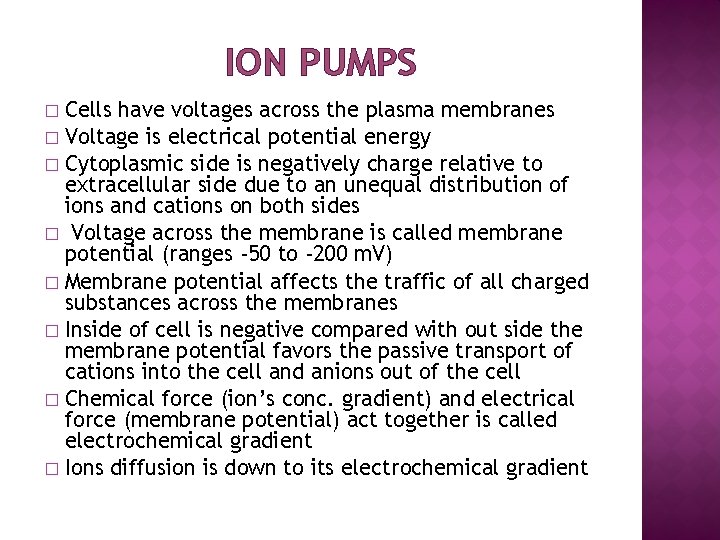ION PUMPS Cells have voltages across the plasma membranes � Voltage is electrical potential