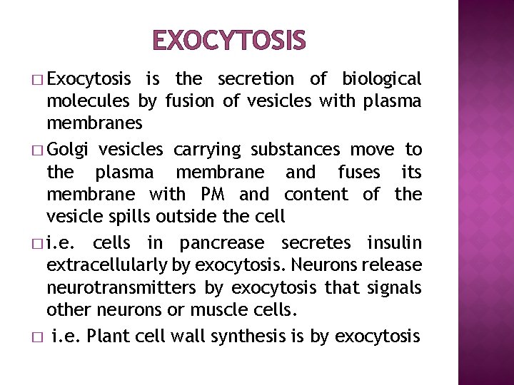 EXOCYTOSIS � Exocytosis is the secretion of biological molecules by fusion of vesicles with
