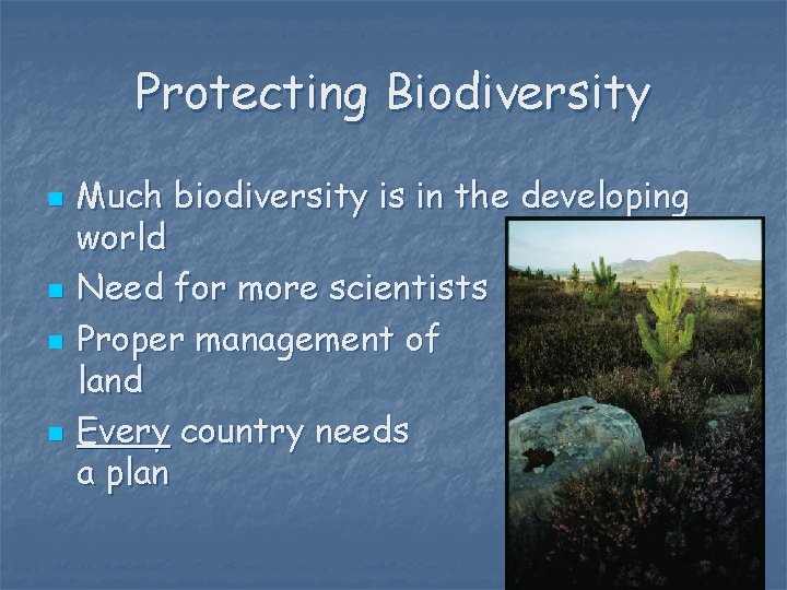 Protecting Biodiversity n n Much biodiversity is in the developing world Need for more