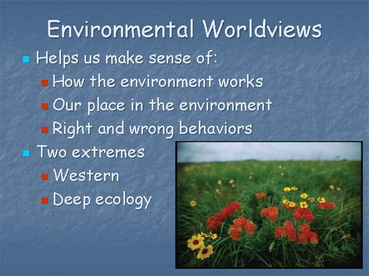 Environmental Worldviews n n Helps us make sense of: n How the environment works