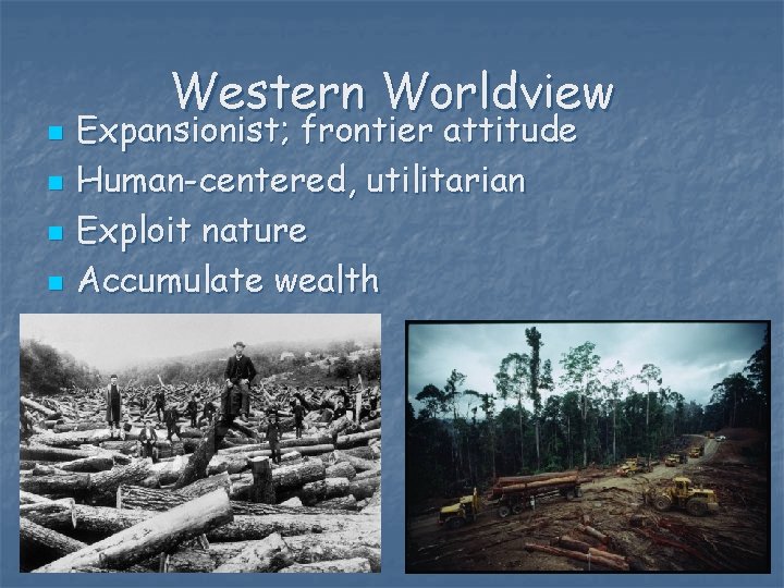 n n Western Worldview Expansionist; frontier attitude Human-centered, utilitarian Exploit nature Accumulate wealth 