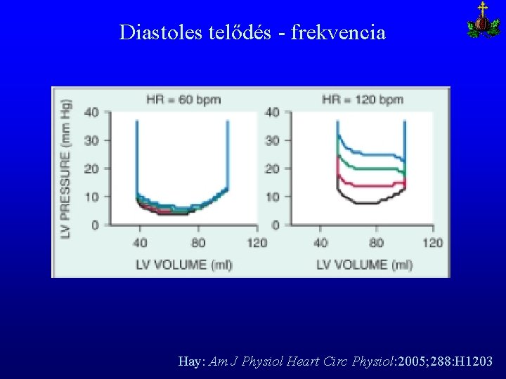 Diastoles telődés - frekvencia Hay: Am J Physiol Heart Circ Physiol: 2005; 288: H