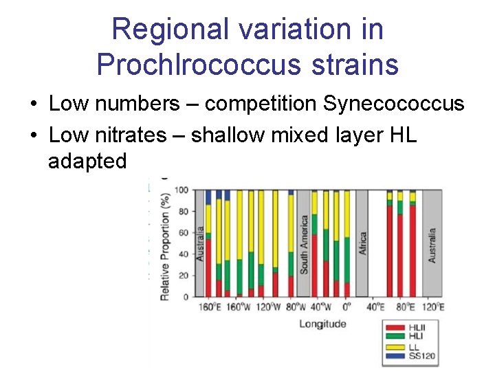 Regional variation in Prochlrococcus strains • Low numbers – competition Synecococcus • Low nitrates