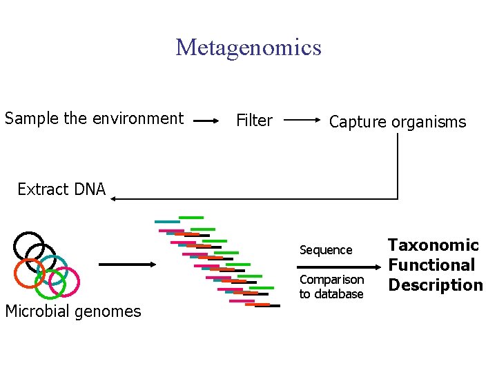 Metagenomics Sample the environment Filter Capture organisms Extract DNA Sequence Microbial genomes Comparison to