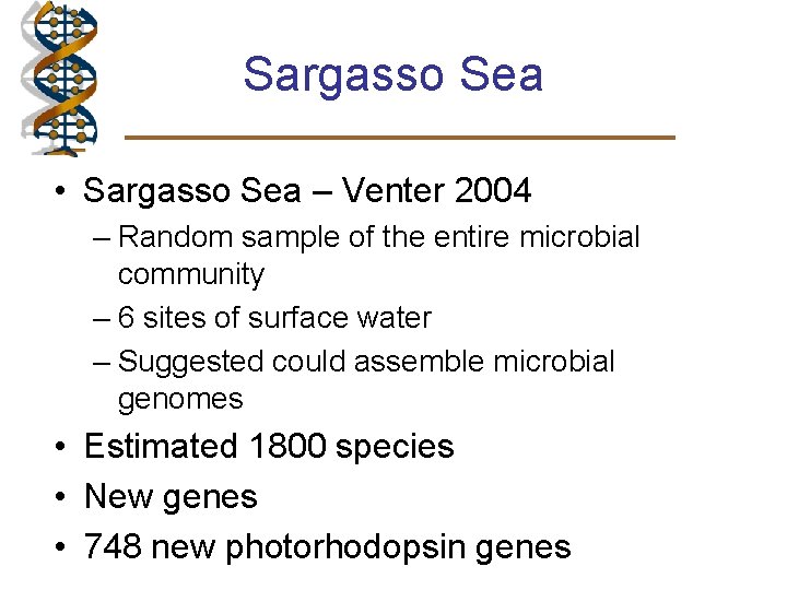 Sargasso Sea • Sargasso Sea – Venter 2004 – Random sample of the entire