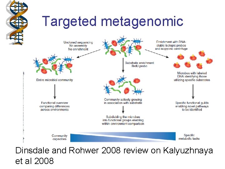 Targeted metagenomic Dinsdale and Rohwer 2008 review on Kalyuzhnaya et al 2008 