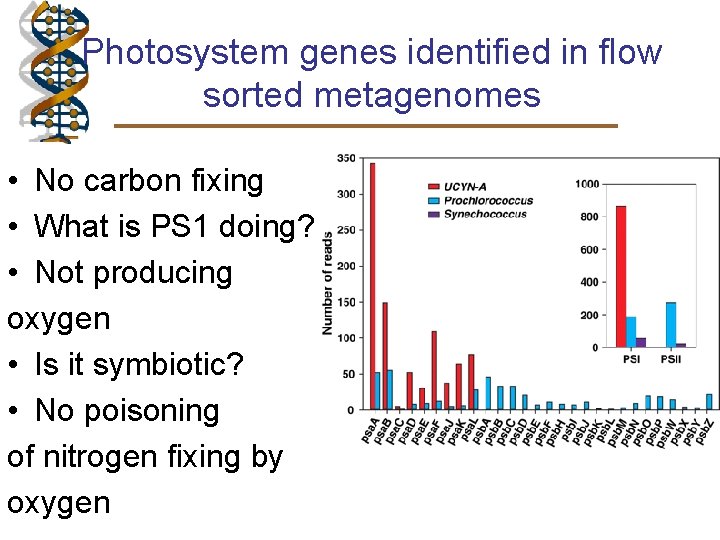 Photosystem genes identified in flow sorted metagenomes • No carbon fixing • What is