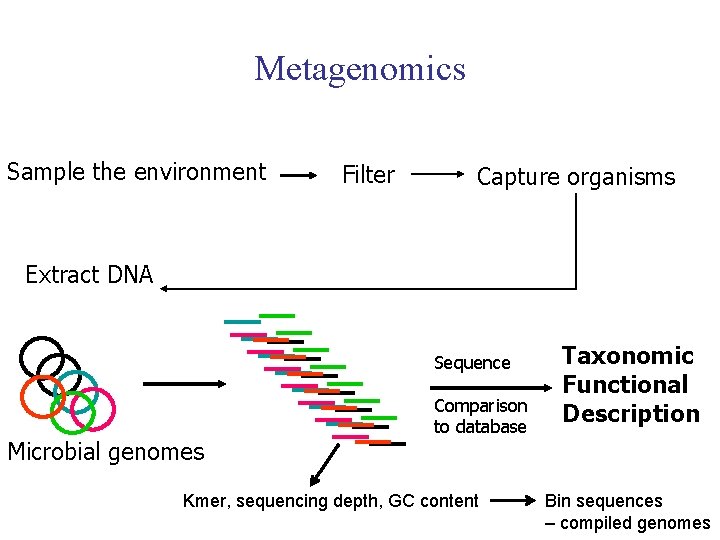 Metagenomics Sample the environment Filter Capture organisms Extract DNA Sequence Microbial genomes Comparison to