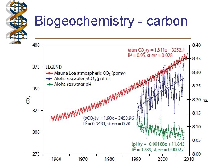 Biogeochemistry - carbon 