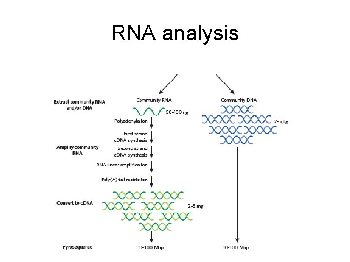 RNA analysis 