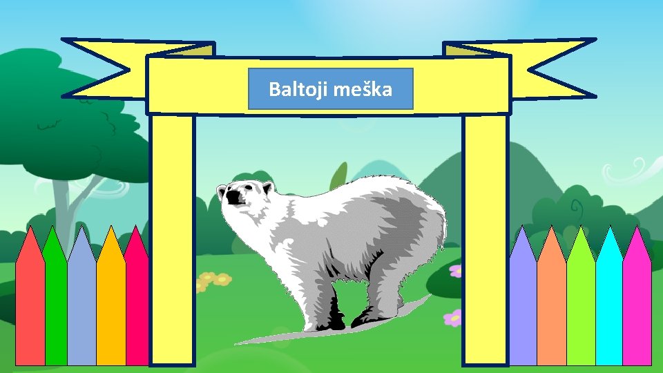 Sveiki Baltojiatvykę! meška 