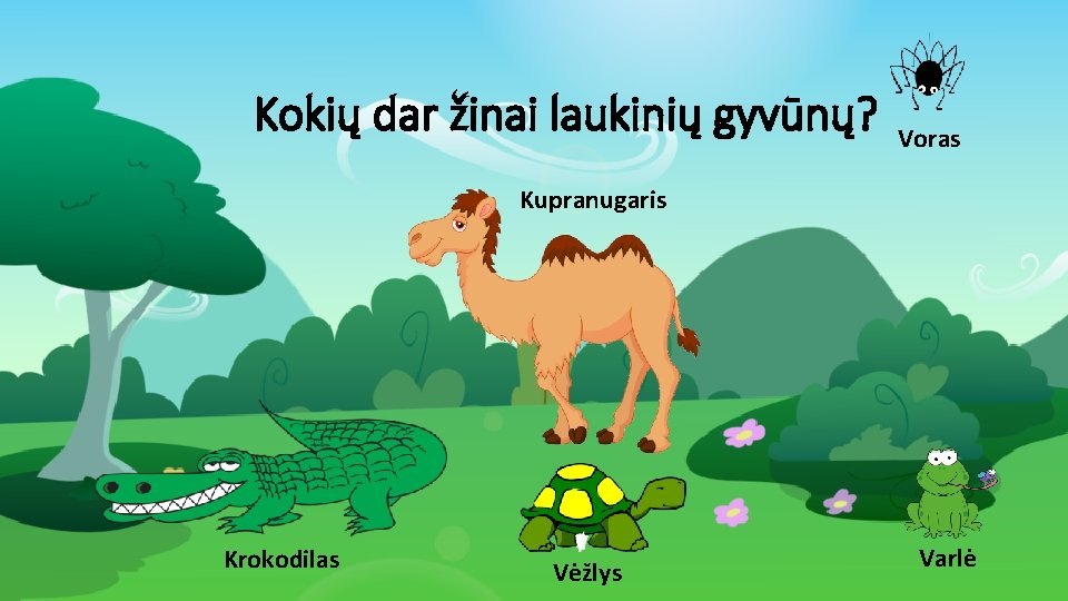 Kokių dar žinai laukinių gyvūnų? Voras Kupranugaris Krokodilas Vėžlys Varlė 