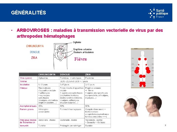 GÉNÉRALITÉS • ARBOVIROSES : maladies à transmission vectorielle de virus par des arthropodes hématophages