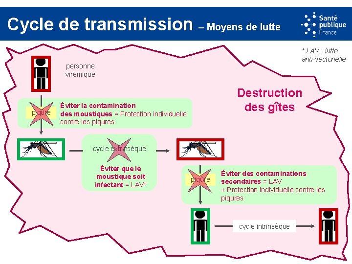 Cycle de transmission – Moyens de lutte * LAV : lutte anti-vectorielle personne virémique
