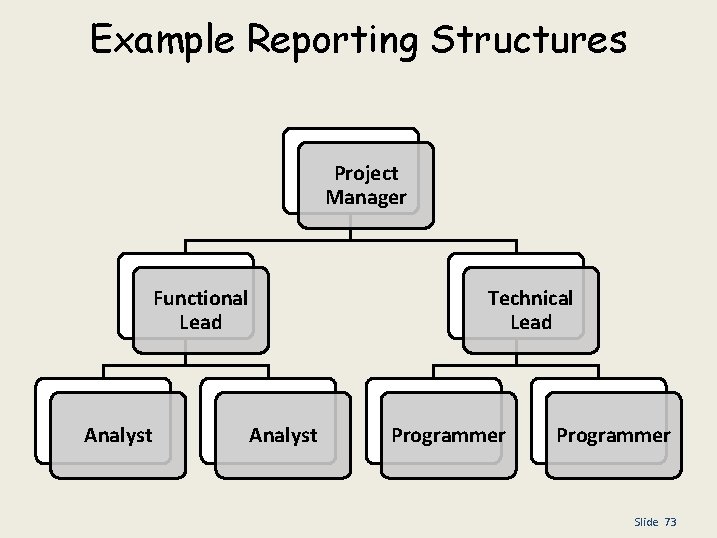 Example Reporting Structures Project Manager Functional Lead Analyst Technical Lead Analyst Programmer Slide 73