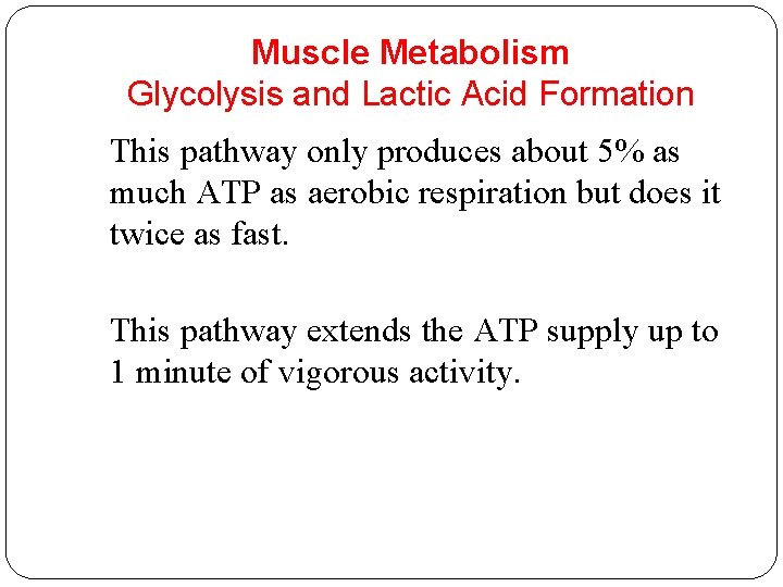 Muscle Metabolism Glycolysis and Lactic Acid Formation This pathway only produces about 5% as