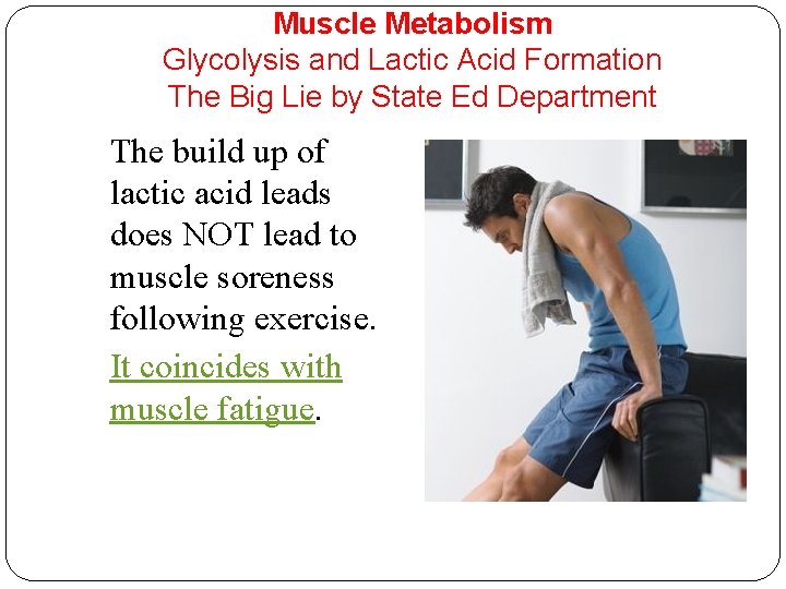 Muscle Metabolism Glycolysis and Lactic Acid Formation The Big Lie by State Ed Department