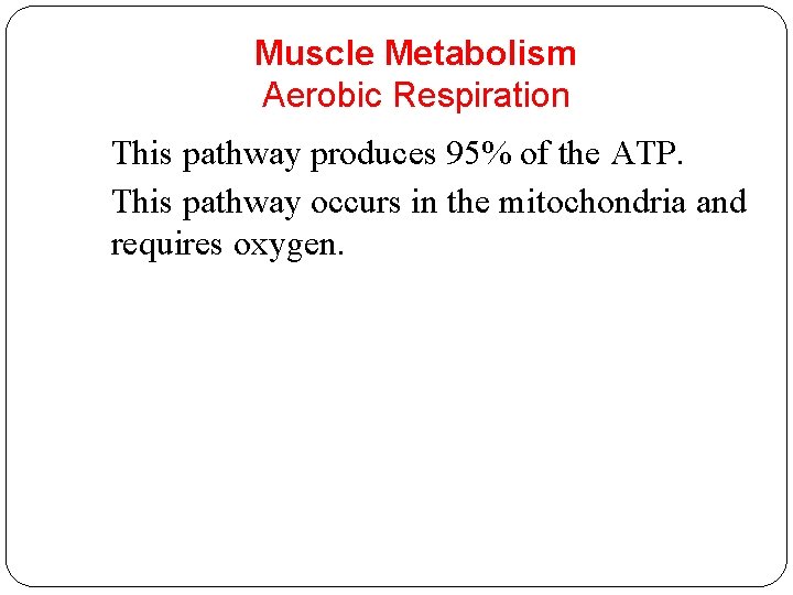 Muscle Metabolism Aerobic Respiration This pathway produces 95% of the ATP. This pathway occurs